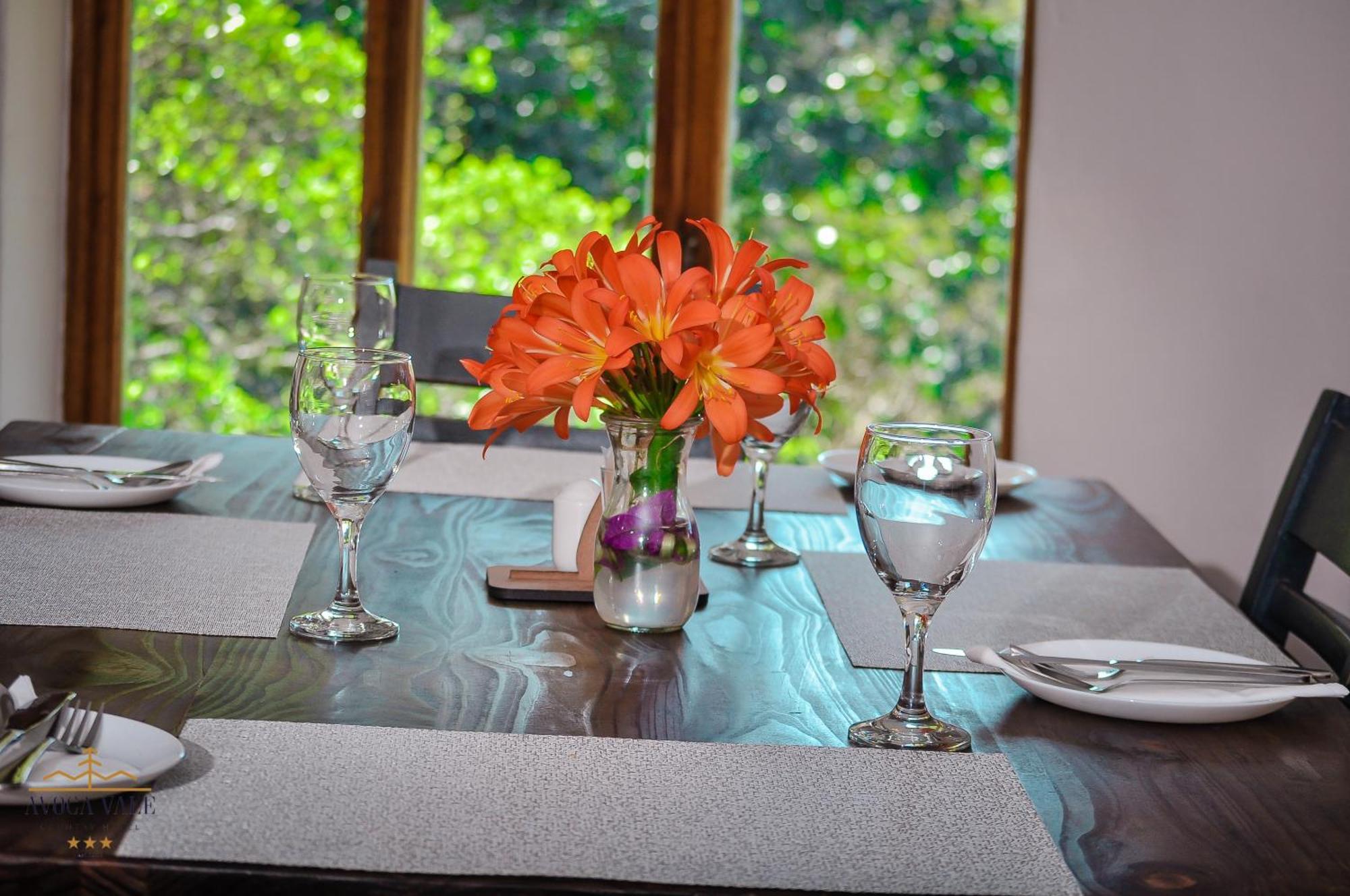 Avoca Vale Country Hotel ルイス・トリハート エクステリア 写真